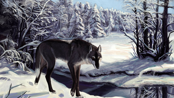 จิ้งจอกดำ, หมาป่า, ฤดูหนาว, ทะเลสาบ, สายตา, สีเทา, สีขาว, ป่า, คนเดียว, ศิลปะ, วอลล์เปเปอร์ HD