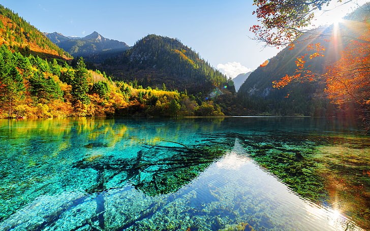 China Jiuzhaigou Parks Autumn Lake Mountains, green forest near water, HD wallpaper