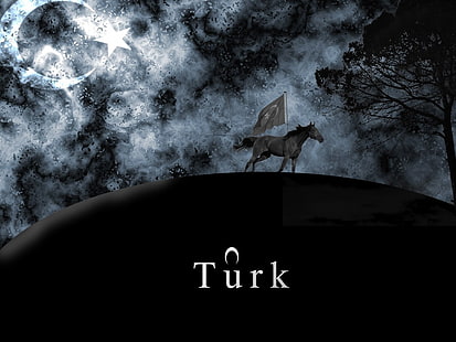 white Turk horse wallpaper, Turkish, Turkey, flag, HD wallpaper HD wallpaper