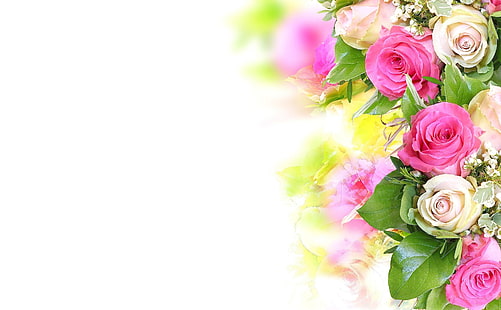 roses, fleurs, composition, tendresse, fond blanc, Fond d'écran HD HD wallpaper