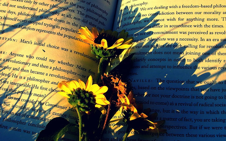 Remember Me, nature, book, photography, flowers, nature and landscapes, HD wallpaper