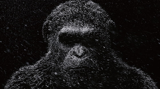 guerra per il pianeta delle scimmie immagini 4K per computer, Sfondo HD HD wallpaper