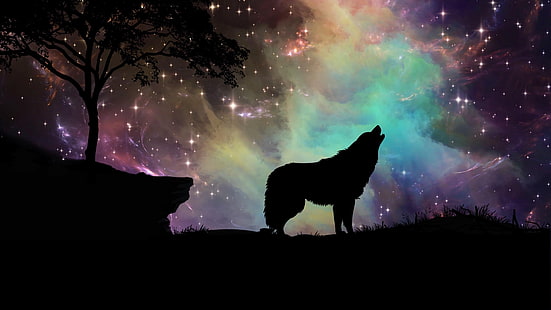 الذئب ، النجوم ، السماء ، صورة ظلية ، الفن ، الليل المرصع بالنجوم ، عواء، خلفية HD HD wallpaper