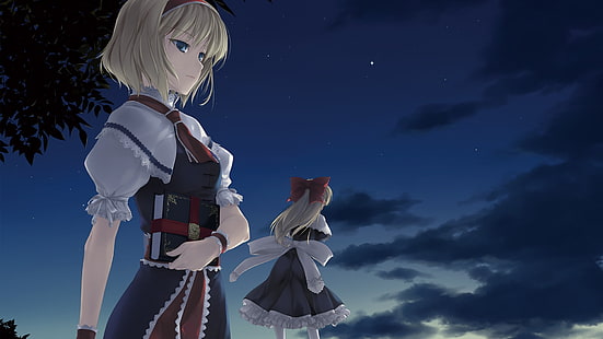 Аниме, Touhou, Алиса Маргатроид, HD обои HD wallpaper