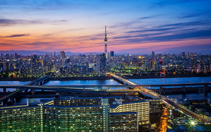 Cities, Tokyo, Bridge, Building, City, Cityscape, Japan, Night, River, Skyscraper, HD wallpaper