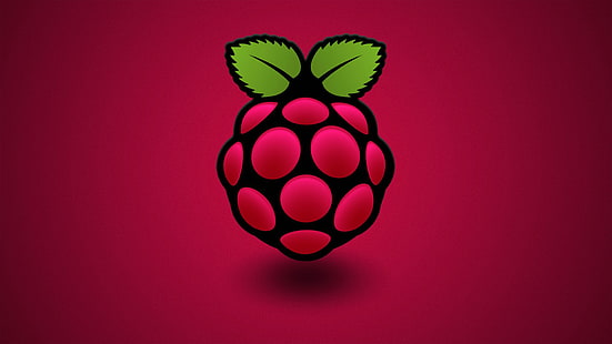 розов плод, компютър, малина, цвят, зрънце, лист, Raspberry Pi, HD тапет HD wallpaper