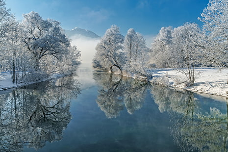 雪に覆われた裸の木、冬、霜、木、反射、川、ドイツ、バイエルン、バイエルン、ロイザッハ川、ロイザッハ川、 HDデスクトップの壁紙 HD wallpaper