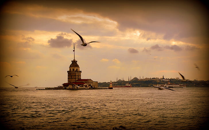 sunset, sea, seagulls, Istanbul, landscape, HD wallpaper