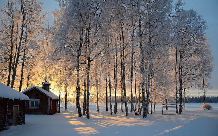 المناظر الطبيعية لغروب الشمس طبيعة الشتاء أشجار الثلج مباني الغابات الخلابة 1920x1200 طبيعة الشتاء HD الفن ، غروب الشمس ، المناظر الطبيعية، خلفية HD