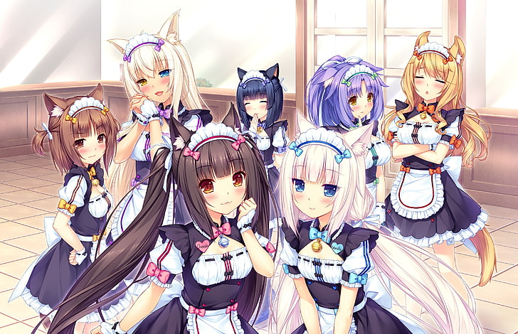 Chocolat (Neko Para), gadis kucing, Kelapa (Neko Para), Kayu Manis (Neko Para), Neko Para, Vanilla (Neko Para), Azuki, anime, Game CG, Maple (Neko Para), twintails, anime girls, Wallpaper HD