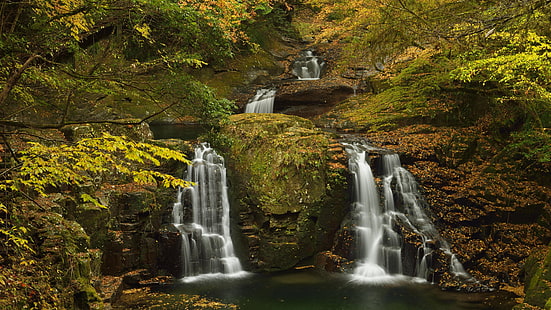 automne, forêt, cascade, rocher, chute, calme, relax, à feuilles caduques, bois, 8k, 8k uhd, Fond d'écran HD HD wallpaper
