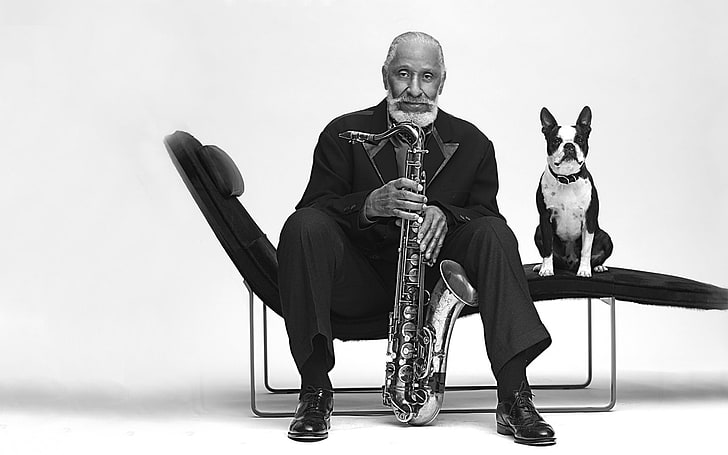 adult boston terrier, sonny rollins, saxophone, jazz musician, great musician, HD wallpaper