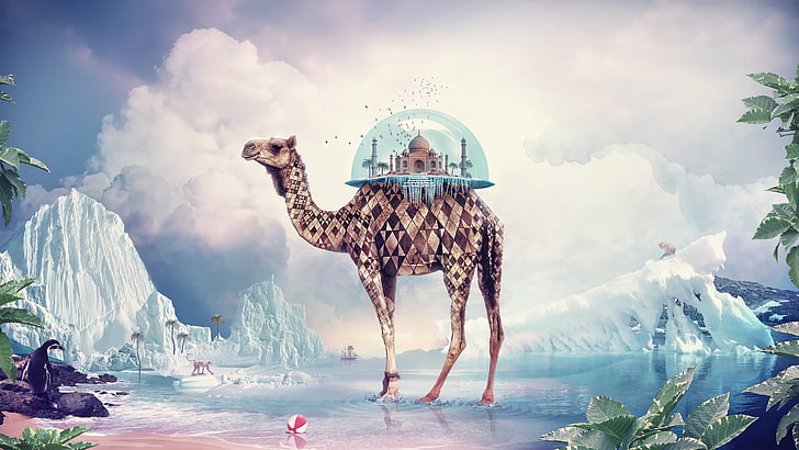 camel and mosque painting, sand, beach, the sky, water, clouds, birds, palm trees, shore, glass, the ball, ship, plants, iceberg, horizon, ice, camel, penguin, monkey, the dome, diamonds, fly, Taj Mahal, HD wallpaper