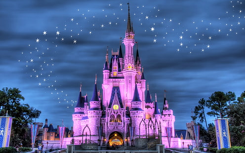 Zamek Disneya, noc, światła, salutowanie, kraina Disneya, Tapety HD HD wallpaper