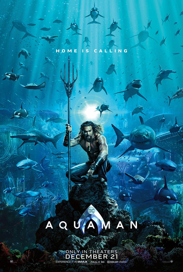Aquaman, DC Comics, Justice League, Warner Brothers, DC Universe, hiu, poster film, Wallpaper HD, wallpaper seluler