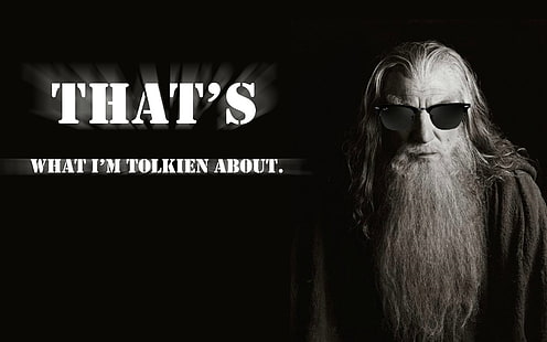 Ecco di cosa sto parlando di testo, Il Signore degli Anelli, Gandalf, mago, occhiali da sole, giochi di parole, J. R. R. Tolkien, umorismo, Sfondo HD HD wallpaper