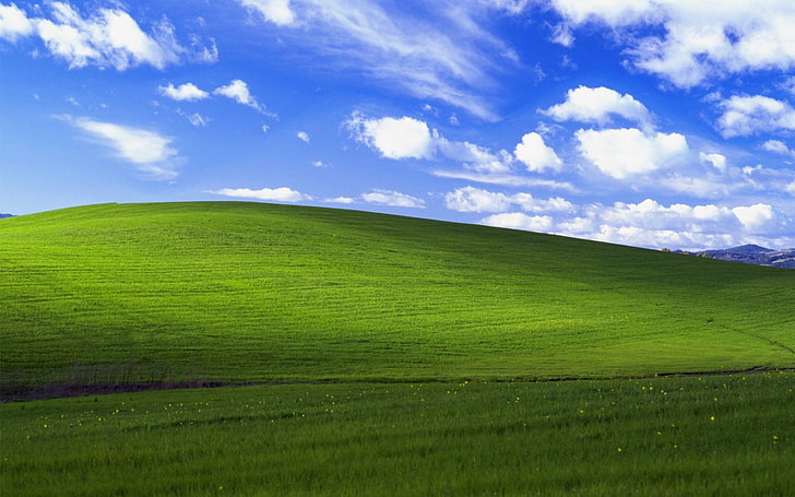 Windows XP, nuvole, natura, erba, collina, Sfondo HD