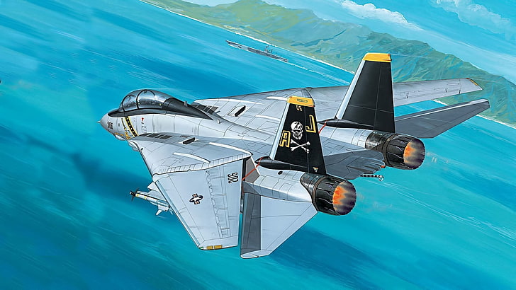 бело-черная игрушка вертолет, живопись, самолет, Grumman F-14 Tomcat, HD обои