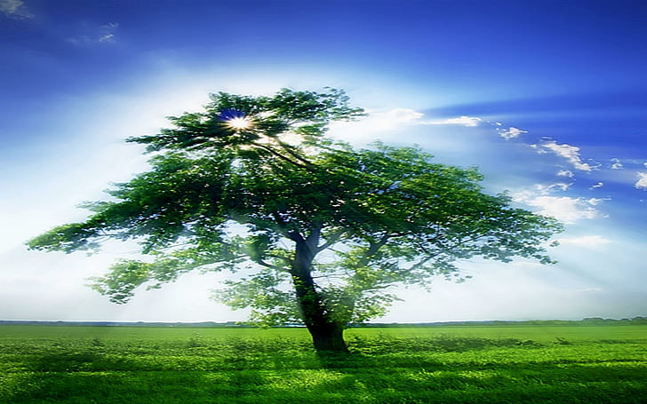 Alive Again, tree, light, blue, green, brightness, clouds, beauty, 3d and abstract, HD wallpaper