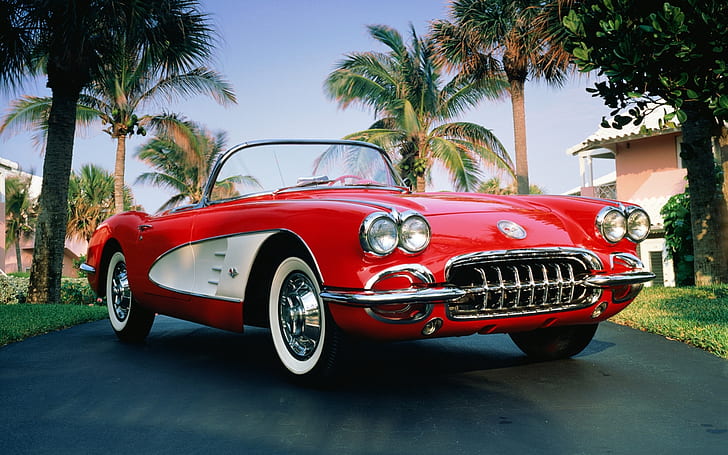 1960 chevrolet corvette, chevrolet corvette, chevrolet, convertible, red, palm, HD wallpaper