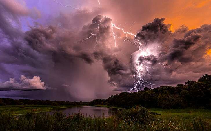 Lightning clouds storm, rain, Lightning, clouds, sky, storm, Night, Lake, trees, Nature, HD wallpaper
