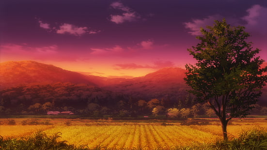 Non Non Biyori, Feld, Sonnenuntergang, HD-Hintergrundbild HD wallpaper