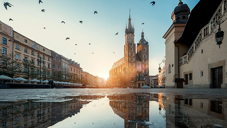 tourist attraction, downtown, basilica, puddle reflection, main square, square, europe, poland, cathedral, krakow, st marys basilica, reflection, st mary basilica, building, morning, urban area, city, landmark, town, puddle, sky, water, HD wallpaper
