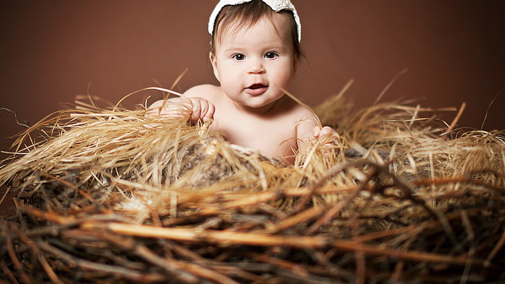 cangkir putih bayi, anak-anak, sarang, bayi, Wallpaper HD