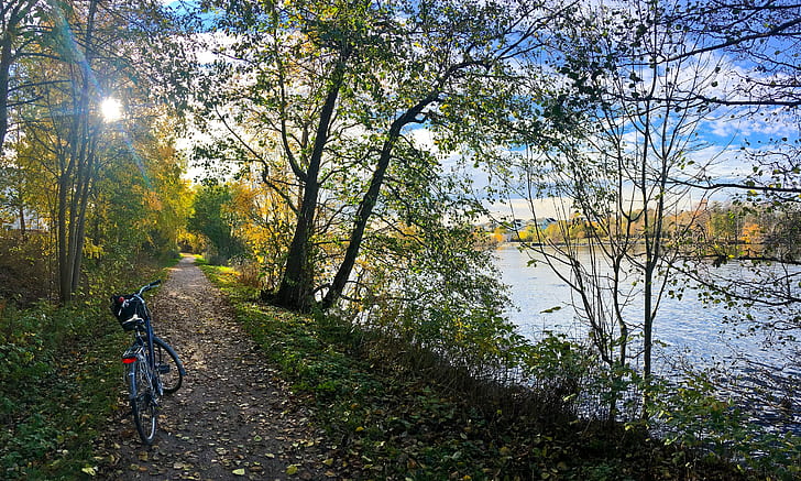 autumn, forest, grass, leaves, the sun, trees, bike, Park, river, shore, path, HD wallpaper