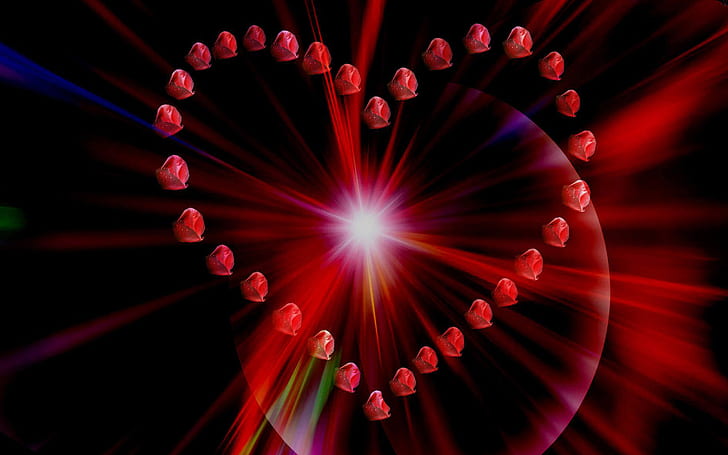 Тапети за фантастични рози в сърцето Hd 2560 × 1600, HD тапет