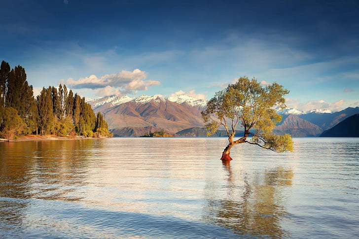 Selandia Baru, Wanaka, tanaman daun hijau, Selandia Baru, pegunungan, danau, pohon, Wanaka, Wallpaper HD