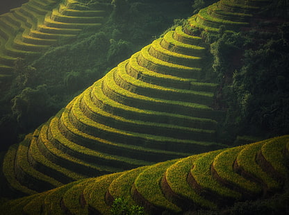 Beautiful Rice Terraces Landscape, Banaue Rice Terraces, Asia, Thailand, Travel, Nature, Beautiful, Landscape, Green, Mountain, Land, Tropical, Photography, Hillside, Rice, ecology, Vacation, terraces, rice terraces, Agriculture, Cultivation, crops, visit, viewpoint, tourism, location, rice fields, topview, Rice crop, Ricefields, Paddy field, HD wallpaper HD wallpaper