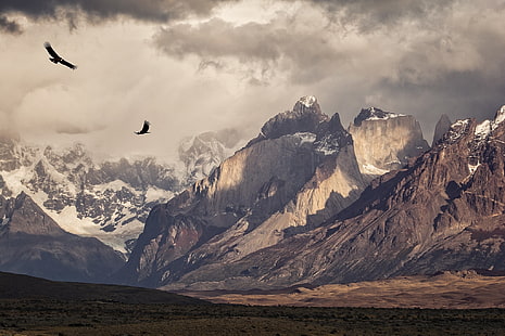 czapki śnieżne góra, natura, fotografia, krajobraz, ptaki, kondory, latające, góry, zaśnieżony szczyt, poranek, światło słoneczne, Torres del Paine, park narodowy, Patagonia, Chile, Tapety HD HD wallpaper