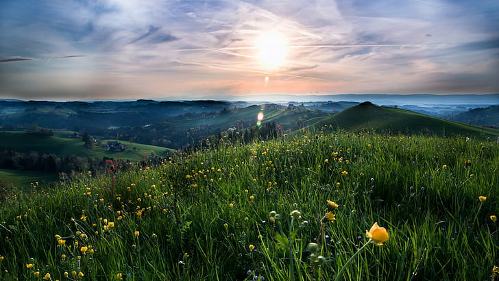 ทุ่งหญ้าดอกไม้ฟิลด์ทุ่งหญ้าหญ้าฤดูร้อนเนินเขาดอกไม้ดวงอาทิตย์เมฆธรรมชาติภูมิทัศน์, วอลล์เปเปอร์ HD