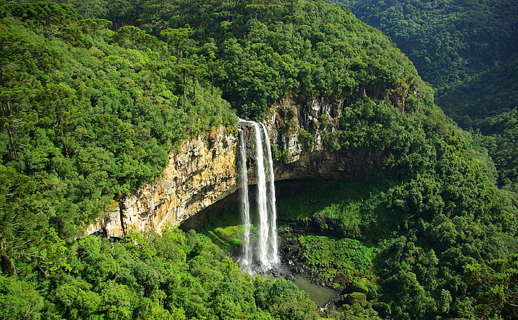 Caracol Falls, green leaf trees, South America, Brazil, Travel, Waterfall, Forest, Falls, caracol, caracol falls, cascata do caracol, rio grande do sul, HD wallpaper
