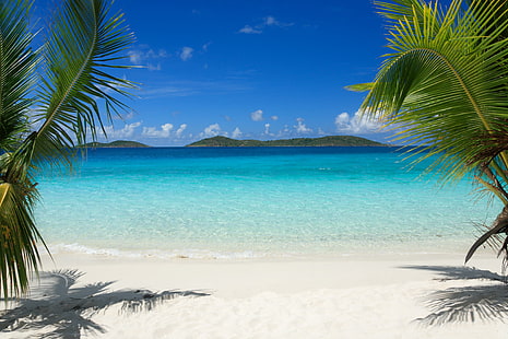 tropics, beach, palm trees, sand, tropics, beach, palm trees, sand, HD wallpaper HD wallpaper