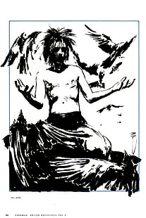 Sandman, Neil Gaiman, Morpheus, Rêve (personnage), dessin, monochrome, oiseaux, Fond d'écran HD HD wallpaper