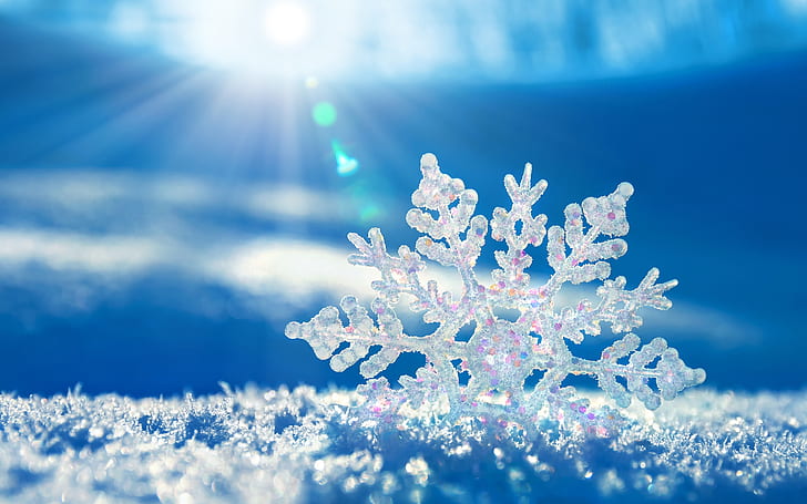 Crystal Snowflake, background, snow, landscape, snowflake, HD wallpaper