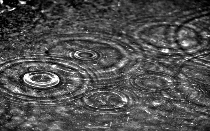 water droplets, drops, circles, water, rain, gray, HD wallpaper
