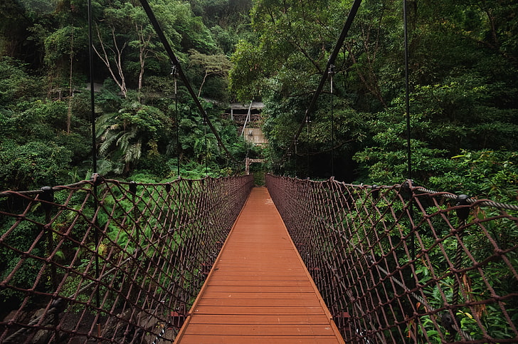 สะพานแขวนสีน้ำตาลสะพานต้นไม้แขวนทอผ้า, วอลล์เปเปอร์ HD