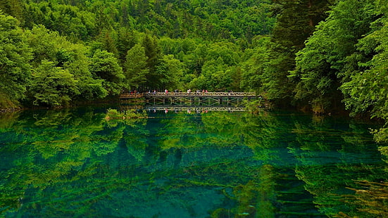 зелени листни дървета, природа, пейзаж, дървета, гора, Китай, езеро, вода, мост, хора, отражение, HD тапет HD wallpaper
