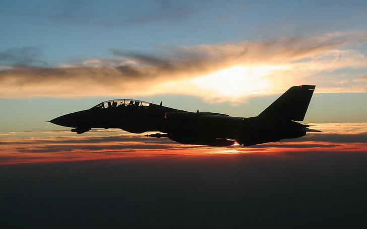 เครื่องบินรบ Grumman F-14 Tomcat, วอลล์เปเปอร์ HD