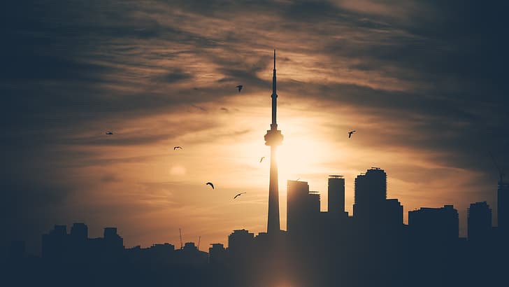 4K, skyline, Toronto, silhouette, uccelli, nuvole, tramonto, grattacielo, CN Tower, Sfondo HD