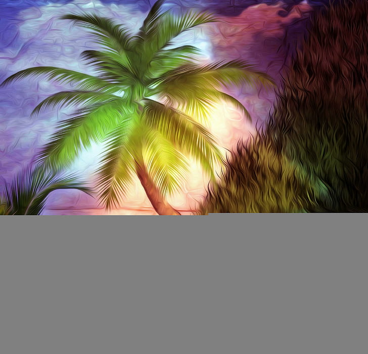 Steep Shores at Sunset, lukisan pohon kelapa dan rumput hijau, indah, pohon kelapa, sejuk, kreatif buatan, lanskap, kelembutan-keindahan, alam, indah, lainnya, warna, Wallpaper HD