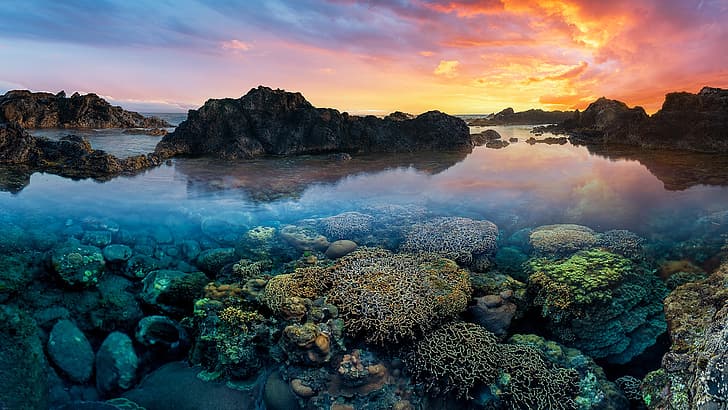 zachód słońca, ocean, skały, koralowce, Ocean Indyjski, Ocean Indyjski, Wyspa Reunion, Tapety HD