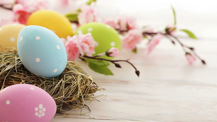 Easter Egg Nest, blue pink yellow and gold eggs, easter, eggs, sakura, cherry blossoms, colored, straw, nest, spring, pastel, simple, nature and landsca, HD wallpaper