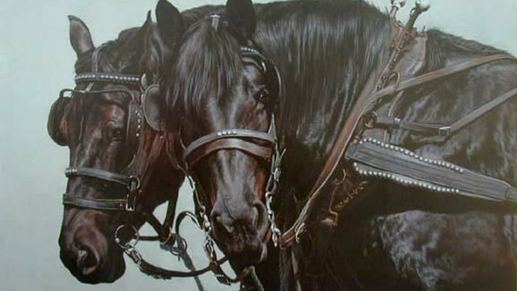 Wagon Horses, pets, nature, wildlife, wagon horses, stallions, black horses, animals, HD wallpaper