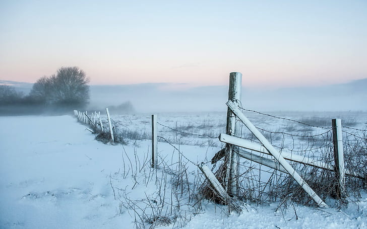 fält, snö, landskap, dimma, staketet, morgon, HD tapet