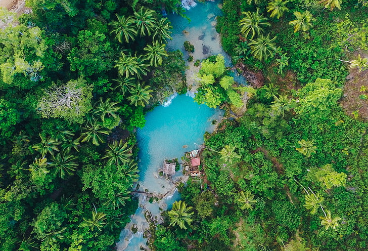 island, palm trees, top view, tropics, siquijor, philippines, HD wallpaper