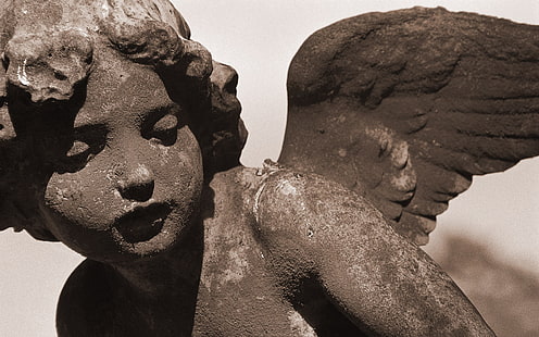 статуя херувима, камень, крылья, ангел, скульптура, HD обои HD wallpaper